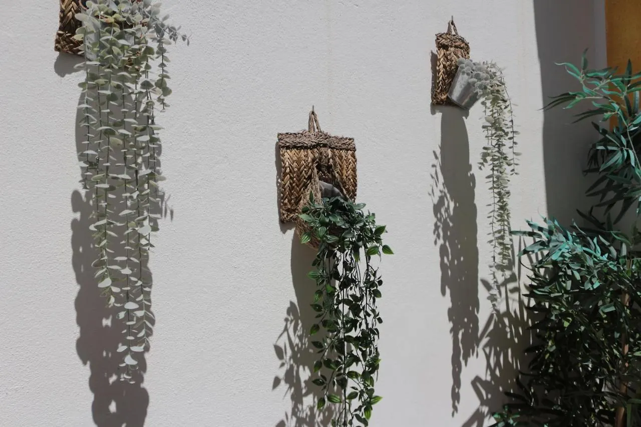 Birdy House Villa Faro Holiday home